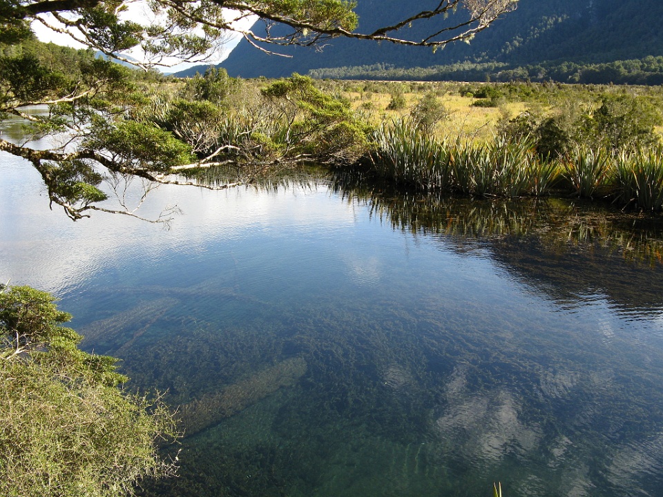 Clear Shallow Water